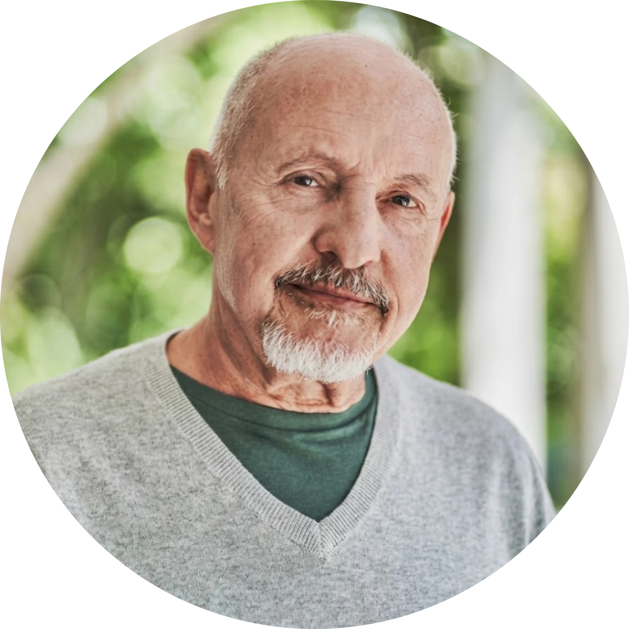 Mind Vault cognitive support review